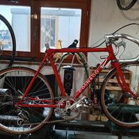 colnago 20 pollici 