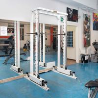 Multipower technogym silver line con panca