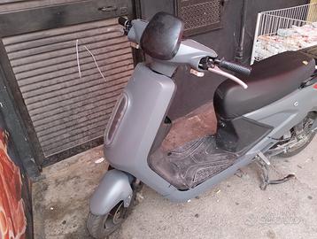 Lem Altro modello - 2022