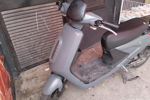 Lem Altro modello - 2022