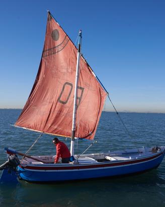 Topo chioggiotto a vela - Barca a vela posto barca