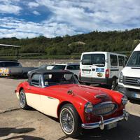 AUSTIN ROVER Altro modello - 1963