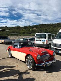 AUSTIN ROVER Altro modello - 1963