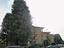 Immagine 25
