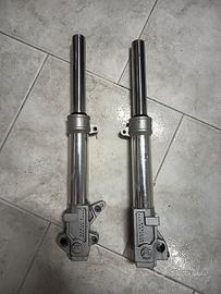 Steli forcella aprilia sr 