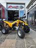 can-am-ds-250