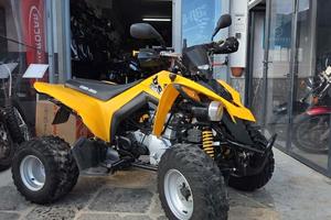 Can Am DS 250