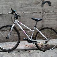 bicicletta 26