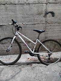 bicicletta 26