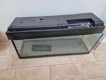 Acquario 100 litri