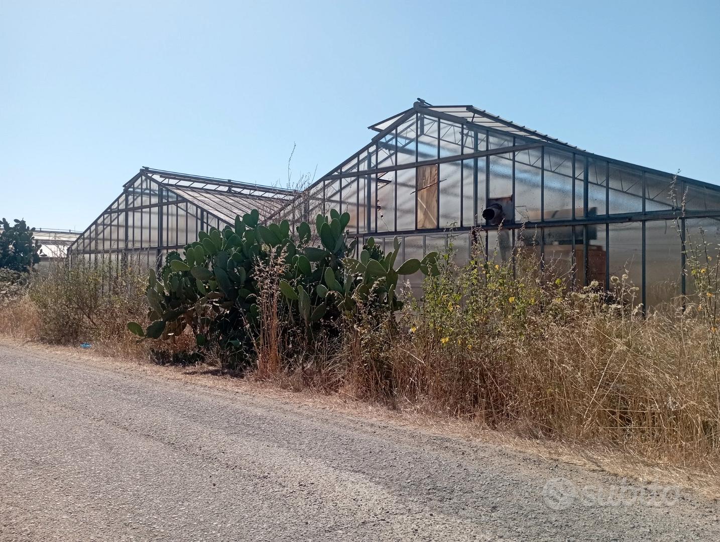 Serre + terreno agricolo - Vista 2