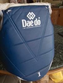 Corazza e para stinchi  per taekwondo