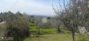 ter-agricolo-a-tivoli