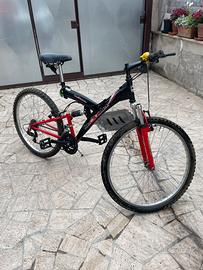 Bici mtb