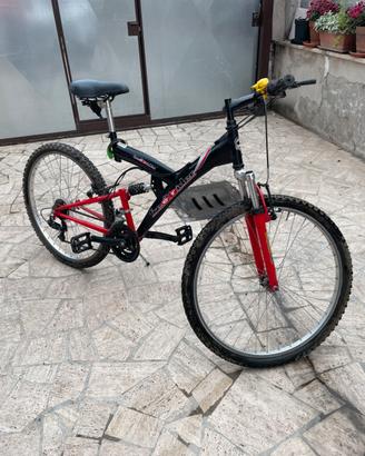 Bici mtb