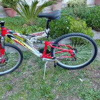 bicicletta nuova 