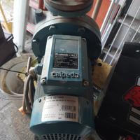 pompa calpeda 