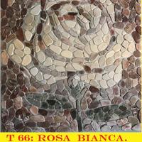 ROSA BIANCA, ma in ciottoli di fiume.