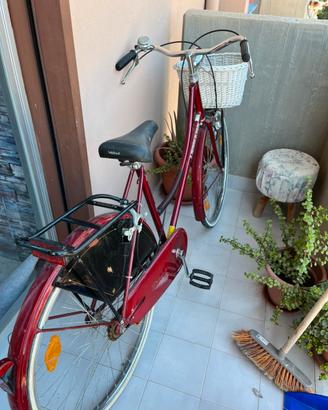 Bici elegante da Donna