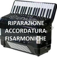 Riparazione ed accordatura fisarmoniche