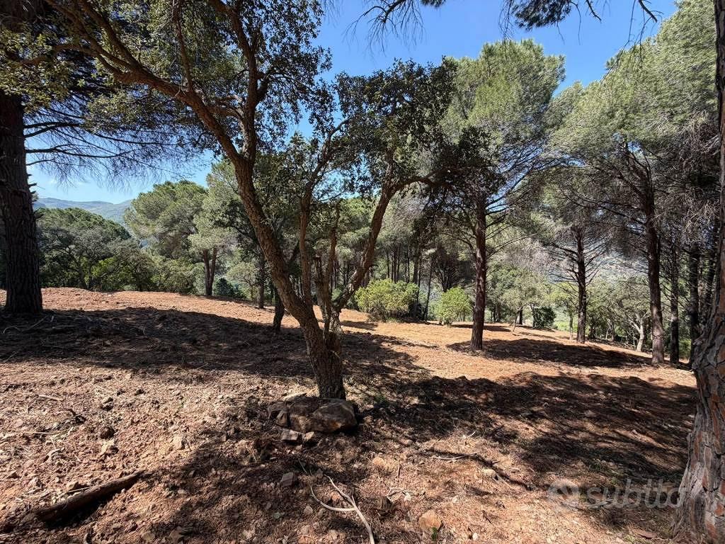 Terreno di 9250 m² a Cefalù - Vista 4