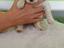 Immagine 3