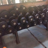 rastrelliera manubri palestra 