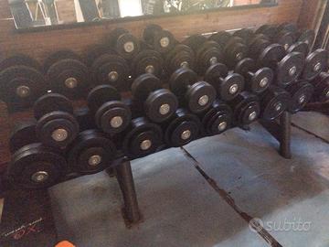 rastrelliera manubri palestra 