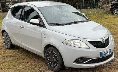 Ypsilon 1.3 MJT 16V 95 CV 5 porte S&S Platinum