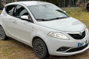 Ypsilon 1.3 MJT 16V 95 CV 5 porte S&S Platinum
