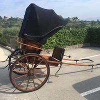 Carrozza cavalli