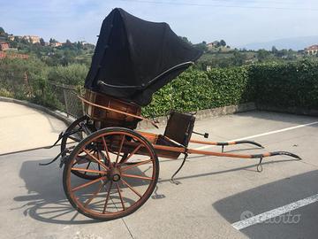Carrozza cavalli