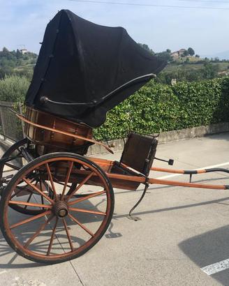 Carrozza cavalli