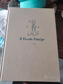il piccolo principe 