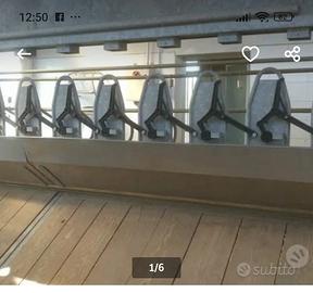 Autocattura per capre