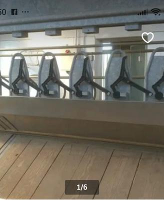 Autocattura per capre