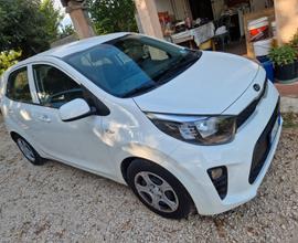 KIA Picanto 3ªs.(17-->) - 2020
