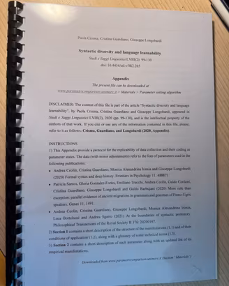 Syntactic diversity and language lernability