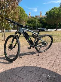 Bicicletta Elettrica