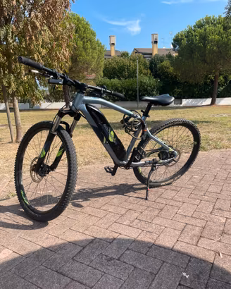 Bicicletta Elettrica