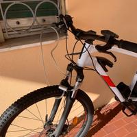 e bike  bici elettrica