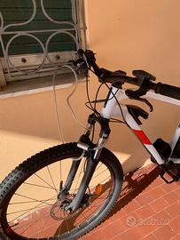 e bike  bici elettrica