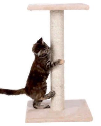 TIRAGRAFFI GATTO NUOVO COLONNA PIU' PIANO