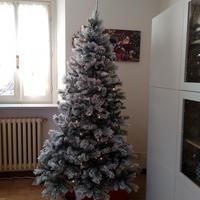 albero di natale 