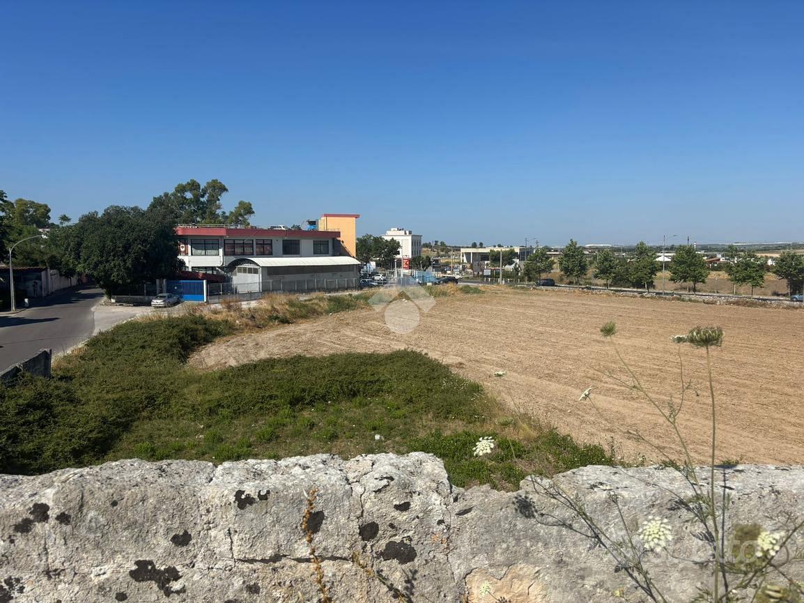 RUSTICO A GROTTAGLIE - Vista 3