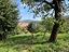 Immagine 19