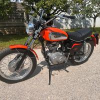 Ducati scrambler 350