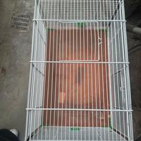 gabbietta per animale