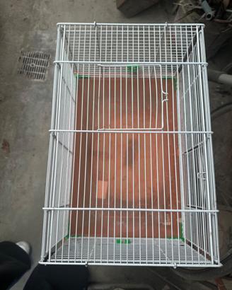 gabbietta per animale