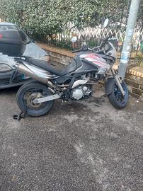 Aprilia Pegaso 650 - 2008